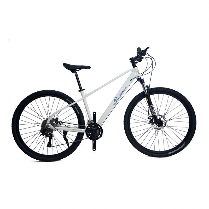 Mountain Biking Usa - 29 inch Aluminum Alloy Mountain Bike