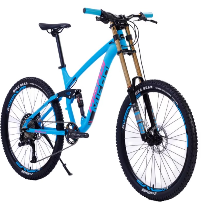 Mountain Biking Gear - High Quality 24-Inch Dual Disc Brake