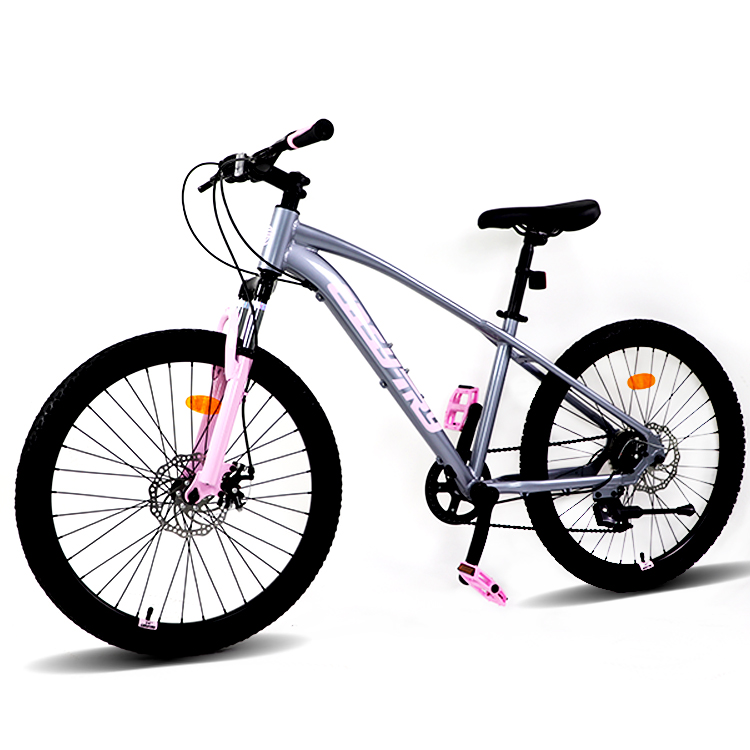 Factory Cycling in China Sell  - огляд і ціна Mountain Biking Usa