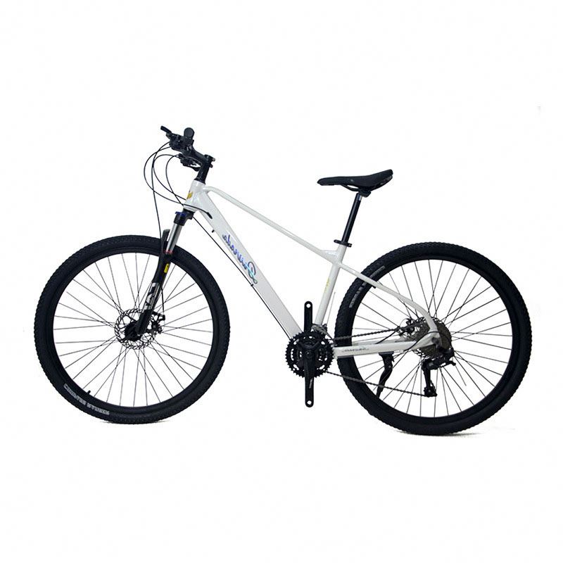 29 inch Aluminum Alloy Mountai - огляд і ціна Mountain Biking Usa