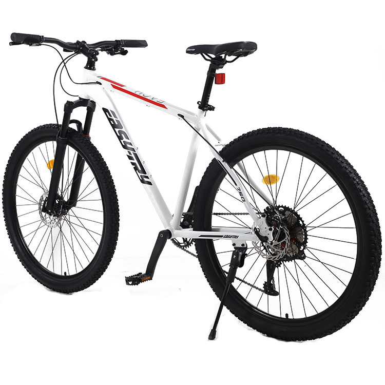 Wholesale 21 Speed Bicicletas  - огляд і ціна Mountain Biking Usa