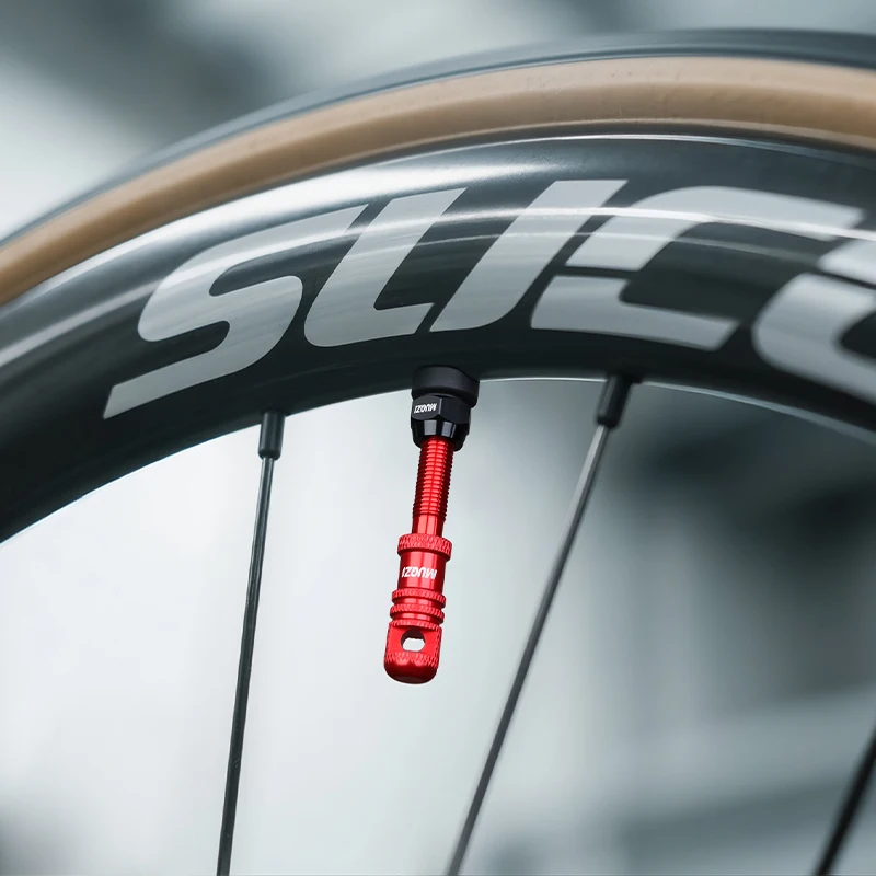MUQZI Tubeless Presta Valve St - огляд і ціна Tubeless Valve Core