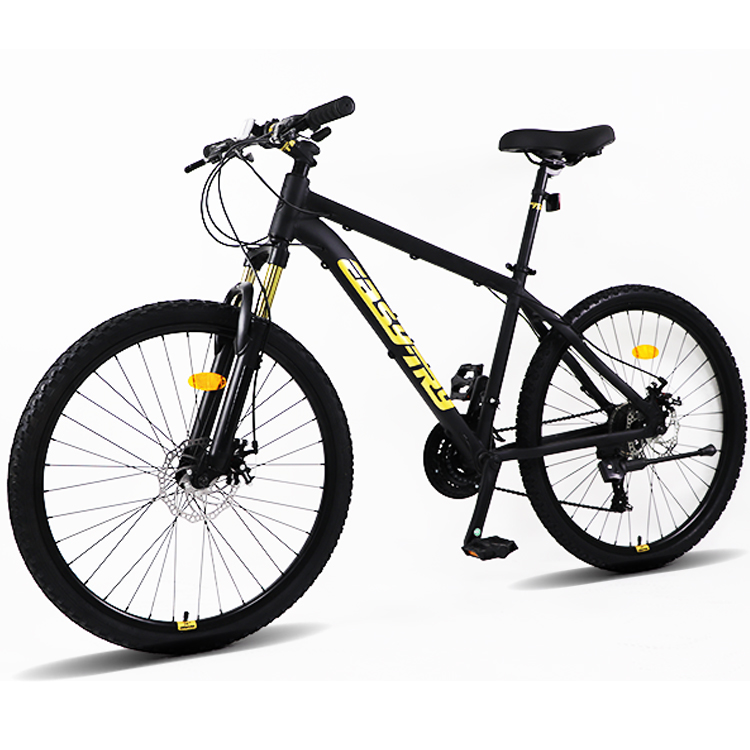 Fast Delivery Bikecmtb Bike OE - огляд і ціна Mountain Biking Usa